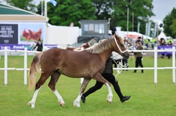 C45_1417 2026