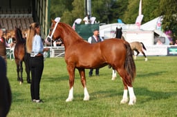 E69_0446 2026