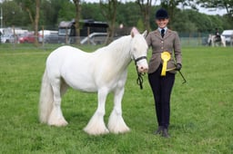 C34_2667 2026