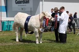 Overall Young Handler