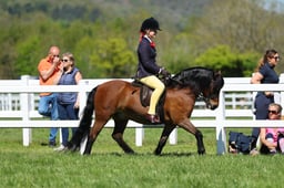 H19_0644 2026