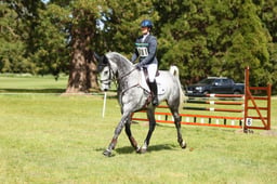 Novice