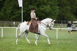E30_5359 2026