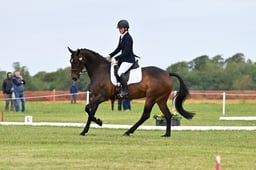 B21_5384 2026