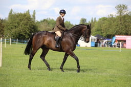 W36_2467 2026