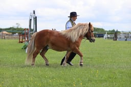 J36_7414 2026