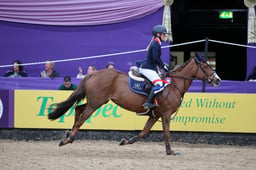 Leading Pony Showjumper of the Year