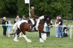 E31_1559 2026