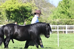 S19_8027 2026