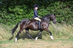 S60_0046 2026