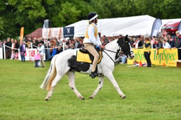 R39_1833 2026