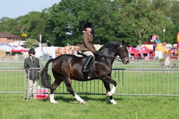 C33_0639 2026