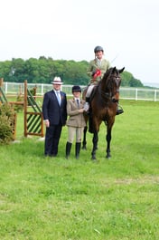 26 HOYS Open Working Hunter