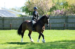 M19_0752 2026