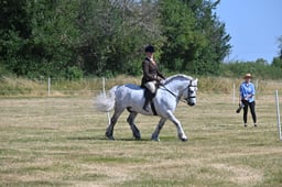 S60_0554 2026