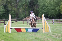 Showjumping