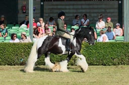 S61_0434 2026