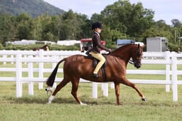 E42_0536 2026