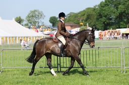 C33_0792 2026