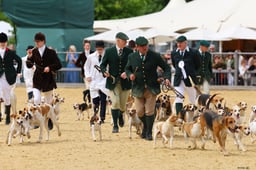 H31_0104 2026