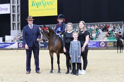 Show Pony Mini Championship