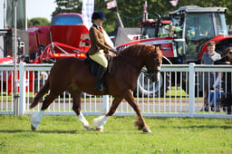 W33_0642 2026