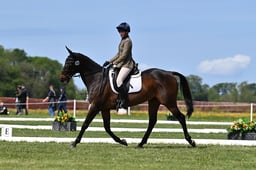 398 ODIN VAN DE KOOLHOF