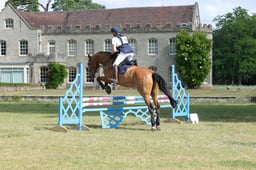 110 IMPOSANT