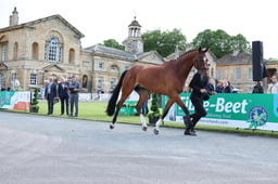 A37_9831 2026