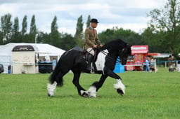 H36_7315 2026