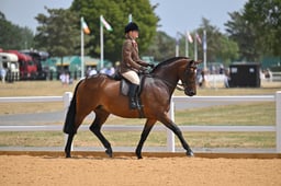 112 Intermediate Show Hunter