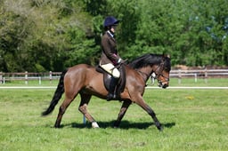 M19_0533 2026
