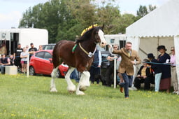 E36_1176 2026