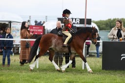 E30_3040 2026