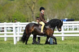 H19_0603 2026