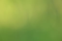 E68_6284 2026