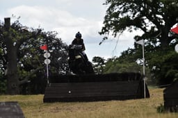 C57_0243 2026