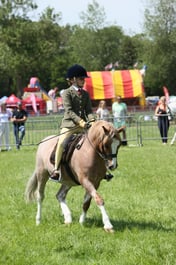 E33_5098 2026