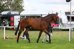 E28_0153 2026