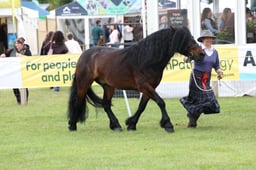 M44_0957 2026