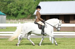 Z41_0029 2026