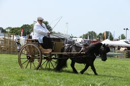 E33_4810 2026