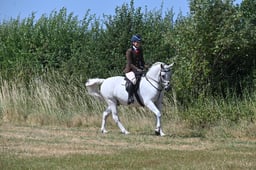 S60_0735 2026