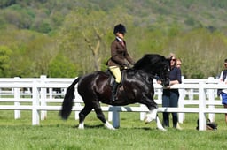 H19_0439 2026