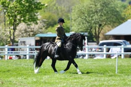 H19_0519 2026