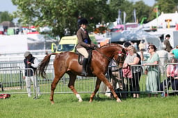 C33_0953 2026