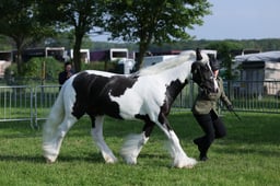 C34_0428 2026