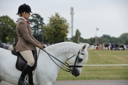 135 Open Ridden Pony