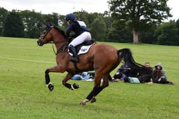 G39_3403 2026