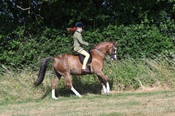 S60_0270 2026